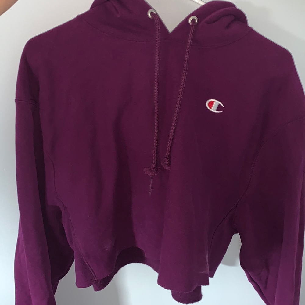 Champion cropped hoodie